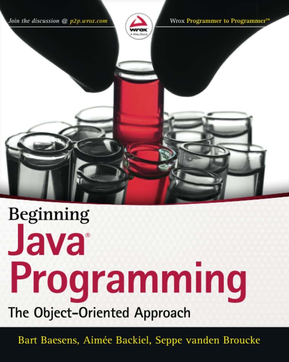 Beginning Java Programming: The Object-Oriented Approach: Baesens, Bart ...