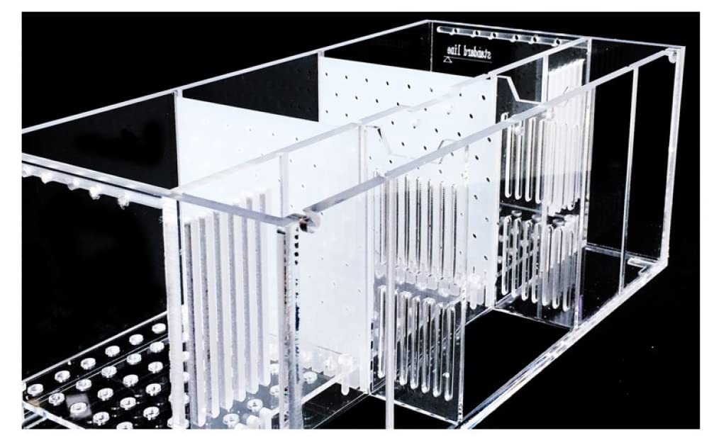 Siqi Betta Fish Tank Materiale acrilico Mini Desktop Aquarium Goldfish Mini Fish Tank Stanza di isolamento per pesci malati, con filtro per pompa dell'acqua, illuminazione (4 spazio reticolo)