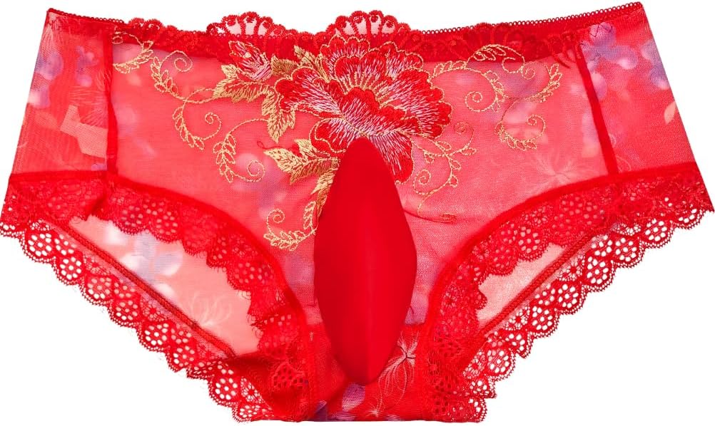 EHSUYAB Mens Sexy Lace Trim Sissy Panties with Pouch, Cross Dresser Male Lingerie Femboy Clothes, Floral Sheer Mesh Underwear