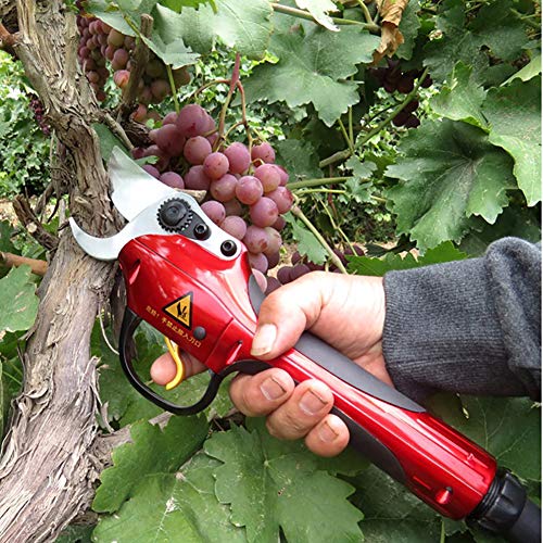 Preisvergleich Produktbild WANZZN Akku-Rebschere Elektrische Gartenschere, 36V wiederaufladbar Lithium-Batterie Astschere, Gartengeräte Dicke Äste Schere Obst Äste Schere für scharfes Schneidwerkzeug