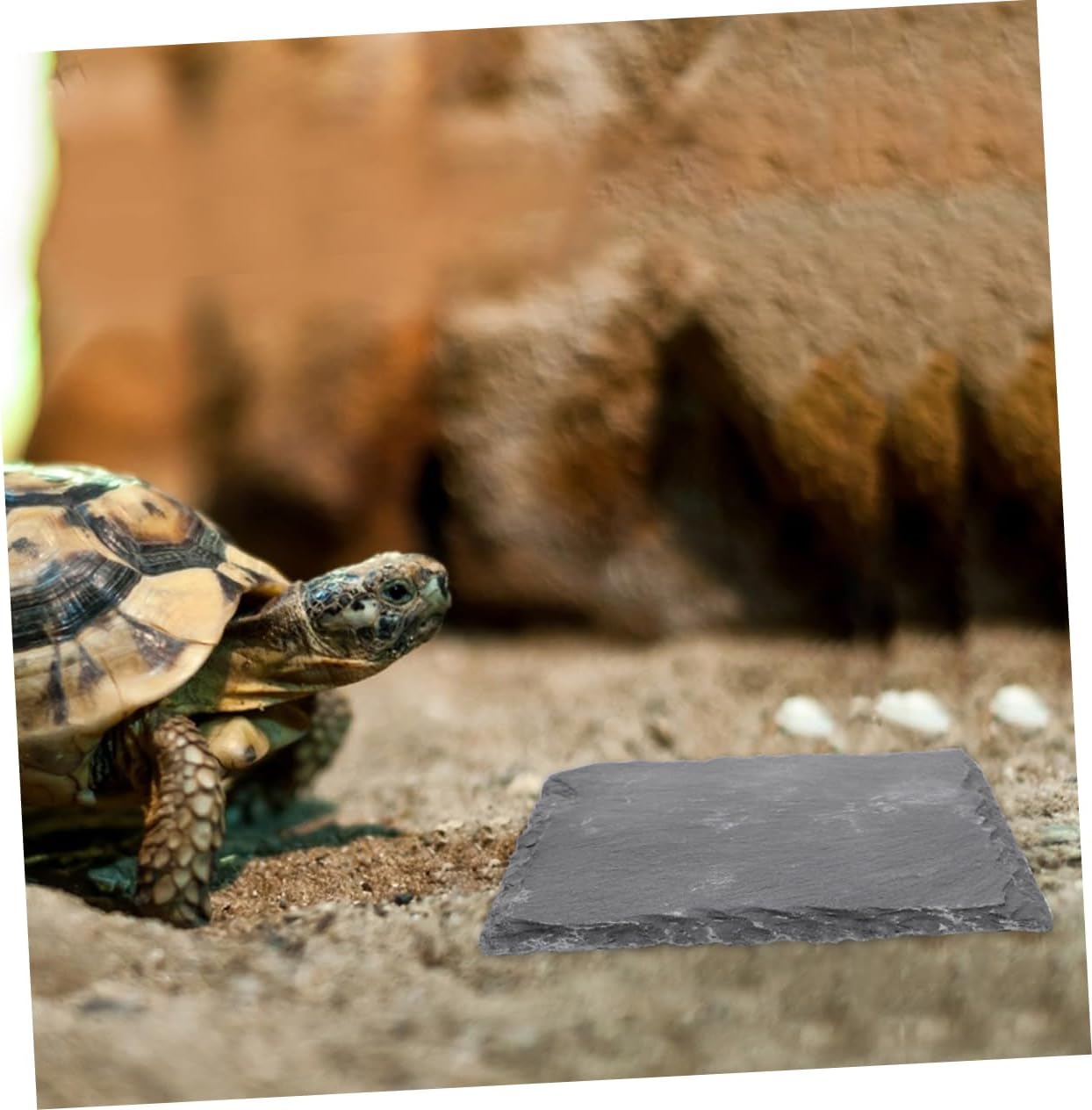 Abaodam 2pcs Reptile Slate Tile Basking Rock Platform for Tortoise