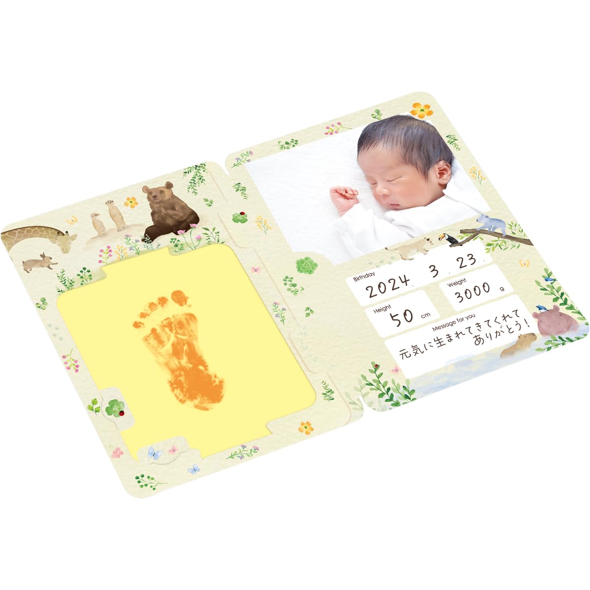 Amazon.co.jp: dacco 94191 Friends Limb Shaped Album, 1 Piece, Made