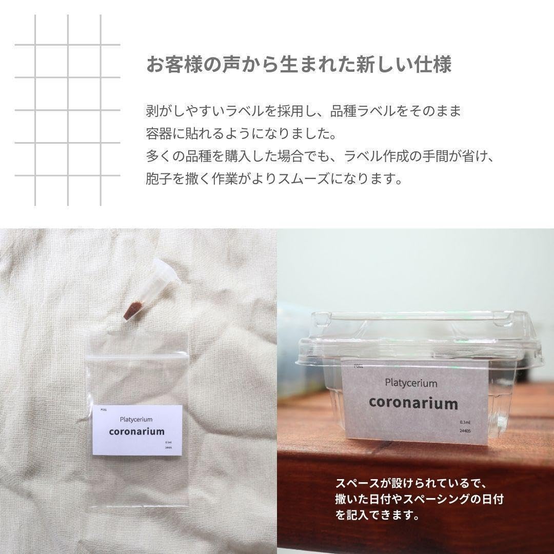 コロナリウムコンパクト シン coronarium compact thin コロナリウムコンパクト シン coronarium compact thin P. coronarium