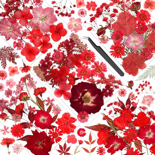 Image of Pressed Dried Flowers for Resin, Natural Real Dried Pressed Flowers for Crafts, Bulk Dry Flowers for Resin Molds, Candles, DIY Art Jewelry Making with Tweezers (Red Love Pressed Flowers)