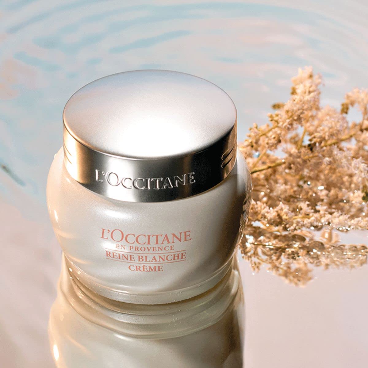 L'Occitane Reine Blanche Brightening Face Cream, 1.7 oz : Amazon