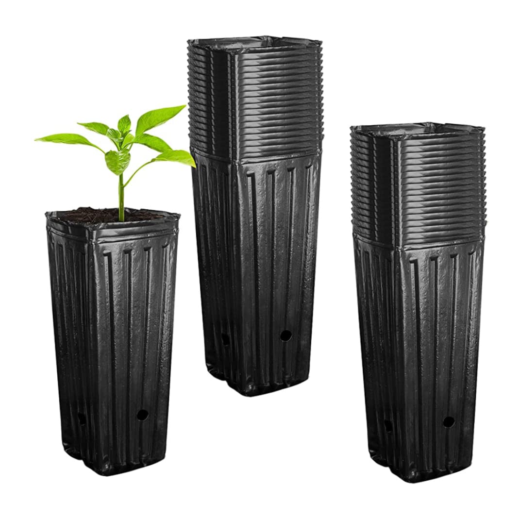 Pots de pépinière de Plantes Profondes, Pots d'arbres Hauts 50 pièces avec Trous Drainage, récipient semis pour Le Jardinage