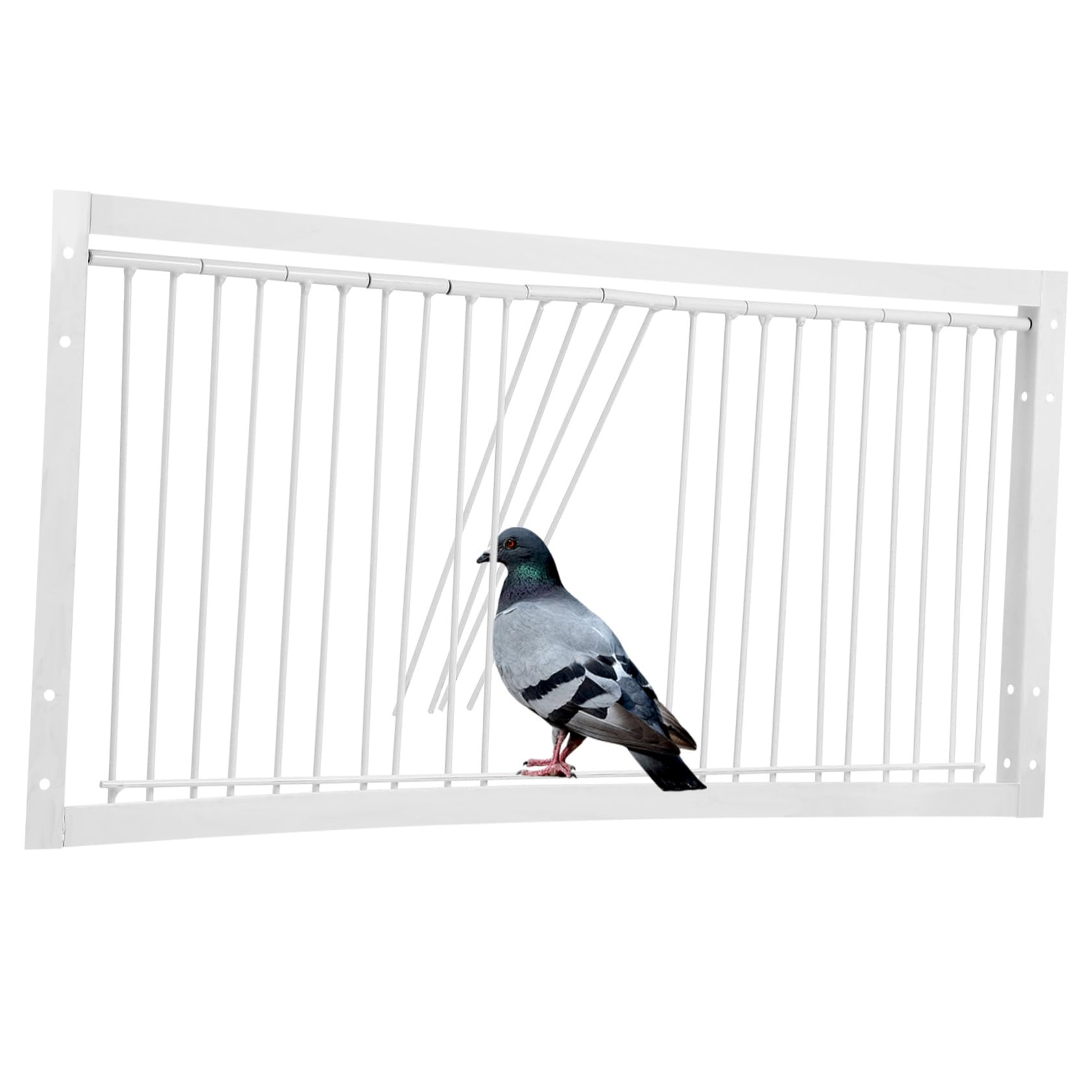 Puerta para Palomas Mensajeras de Hierro Reforzada, Puerta para Jaula de 50 Cm Diseño Encriptado, Adecuado para Palomares y Entrenamiento de Aves