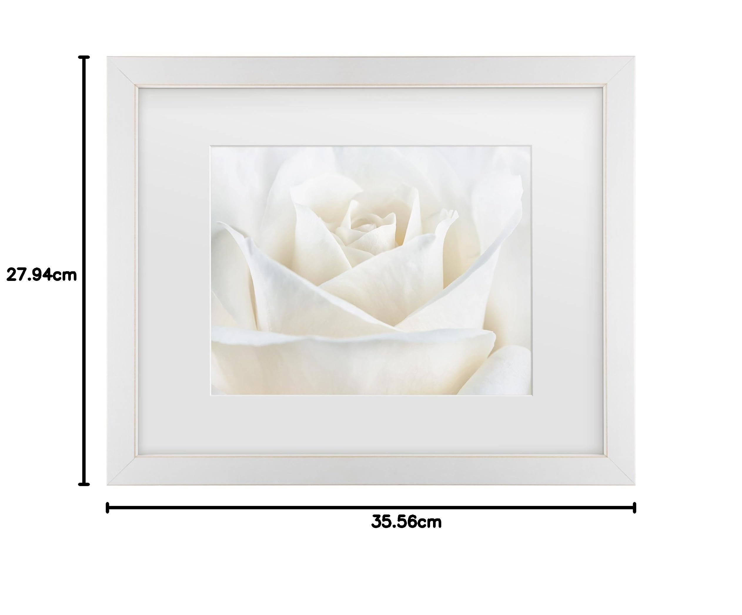 Amazon｜商標Fine Art PureホワイトローズbyコーラNiele White Matte