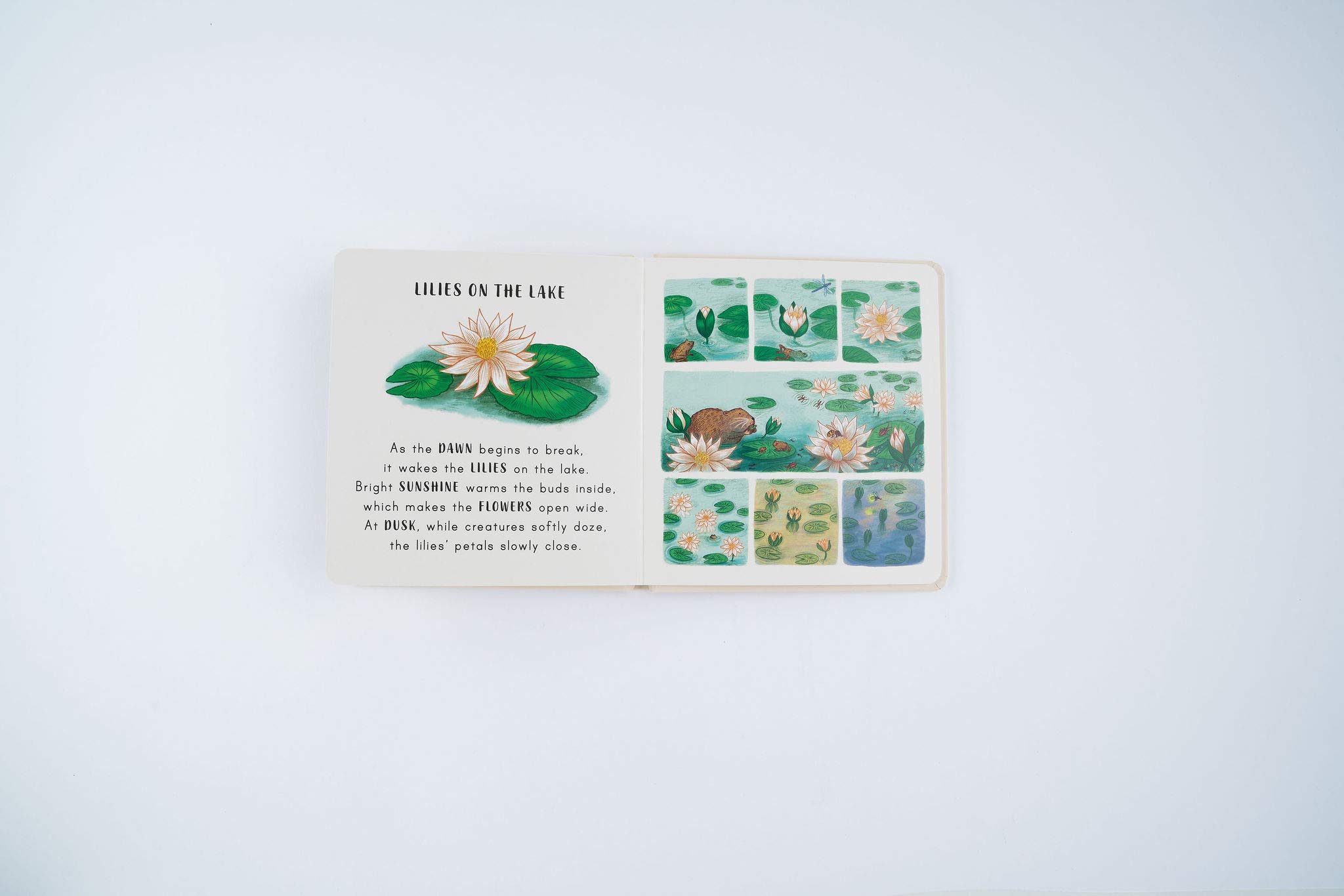 Slow Down… Discover Nature in the Park: Bring calm to Baby's world with 6 mindful nature moments