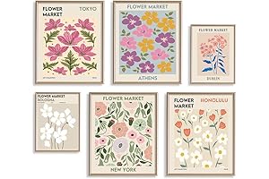 Stunning Mid Century Modern Picture Frames Elevate Your Walls