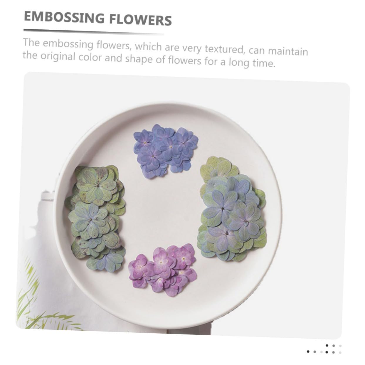 MAGICLULU 2 Ensembles Fleurs Séchées pour La Résine Mariage Décor Bouquet De Fleurs Séchées Pressé Sec Petites Fleurs pour La Résine 30 Pièces * 2