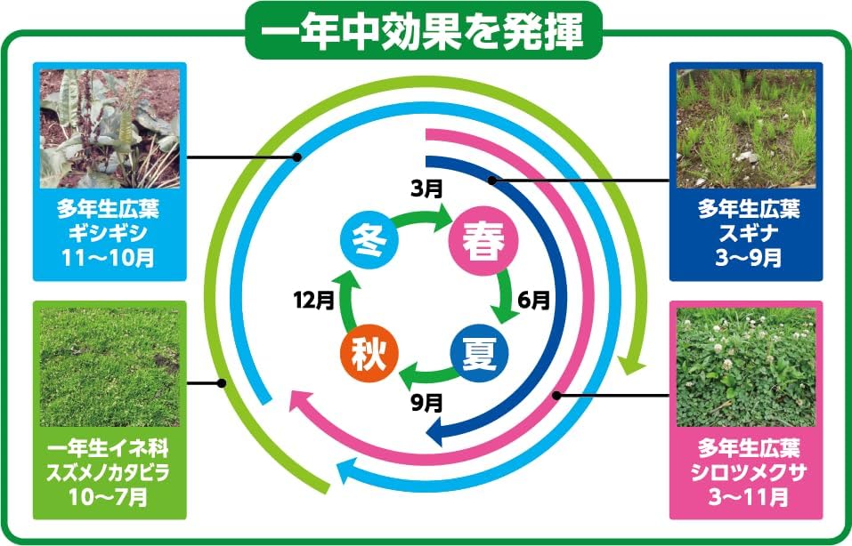 住友化学園芸 除草剤 草退治E粒剤 4.5kg 強力 持続 最大散布900㎡ スギナ 顆粒