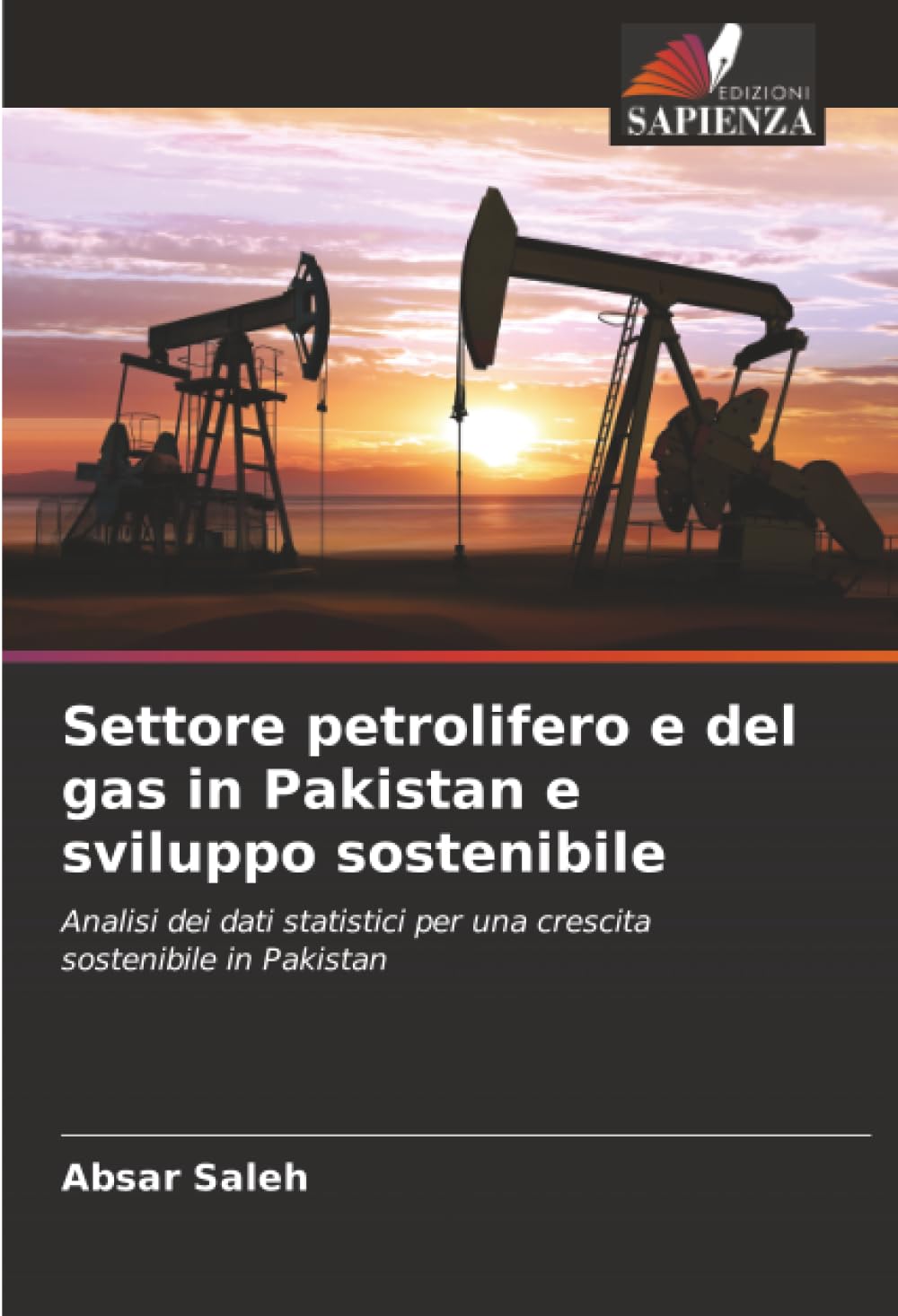 Settore petrolifero e del gas in Pakistan e sviluppo sostenibile: Analisi dei dati statistici per una crescita sostenibile in Pakistan
