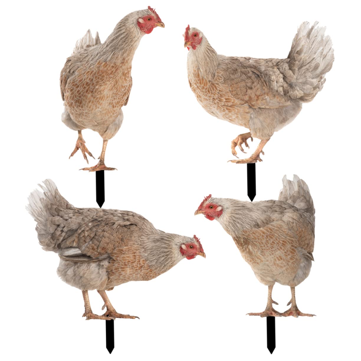 Gartenstecker Huhn aus Acryl, für Garten und Rasen
