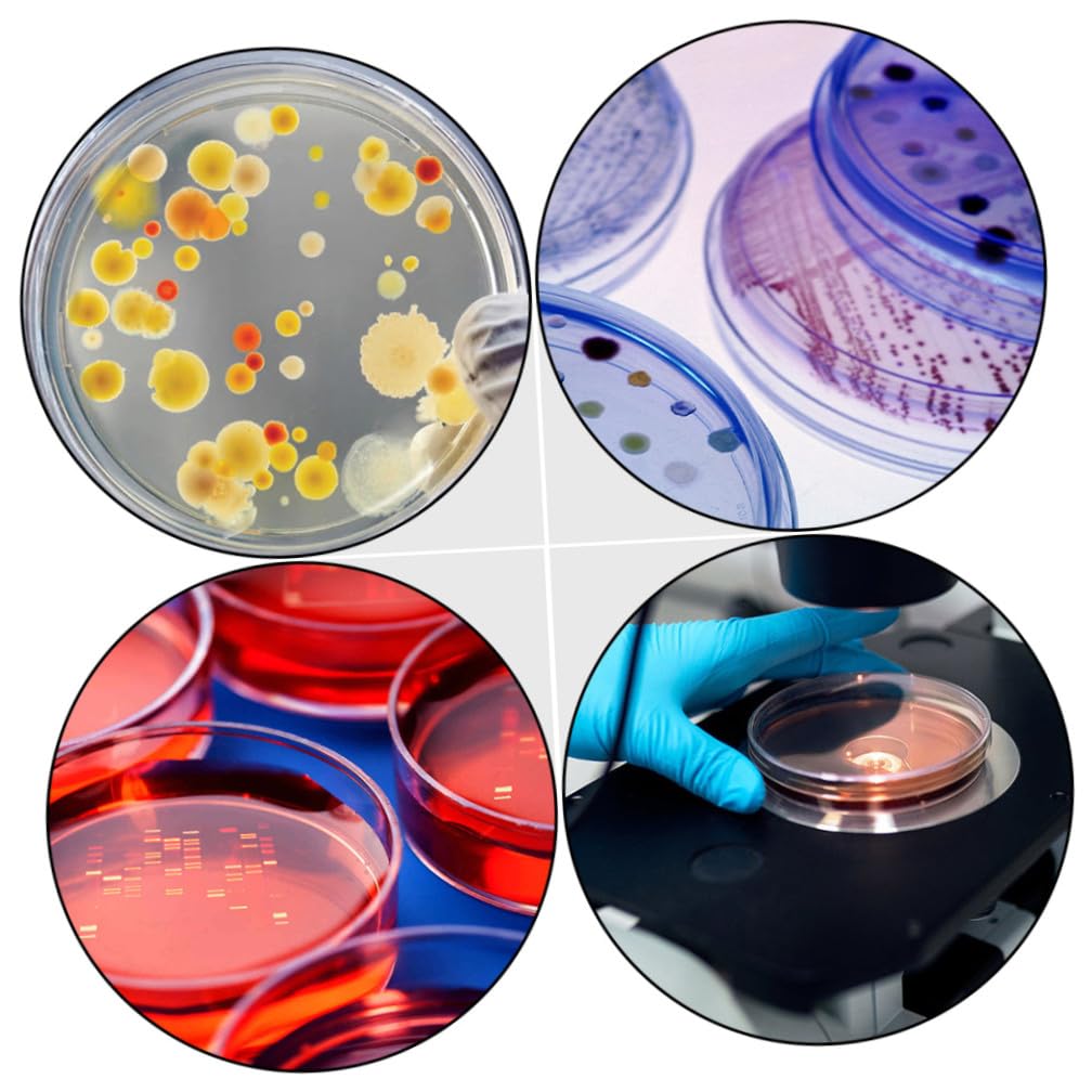 MAGICLULU 2sets 30pcs Transparent Petri Dish Set Plastic Dishes for Laboratory Projects for Science Experiments 30pcs*2
