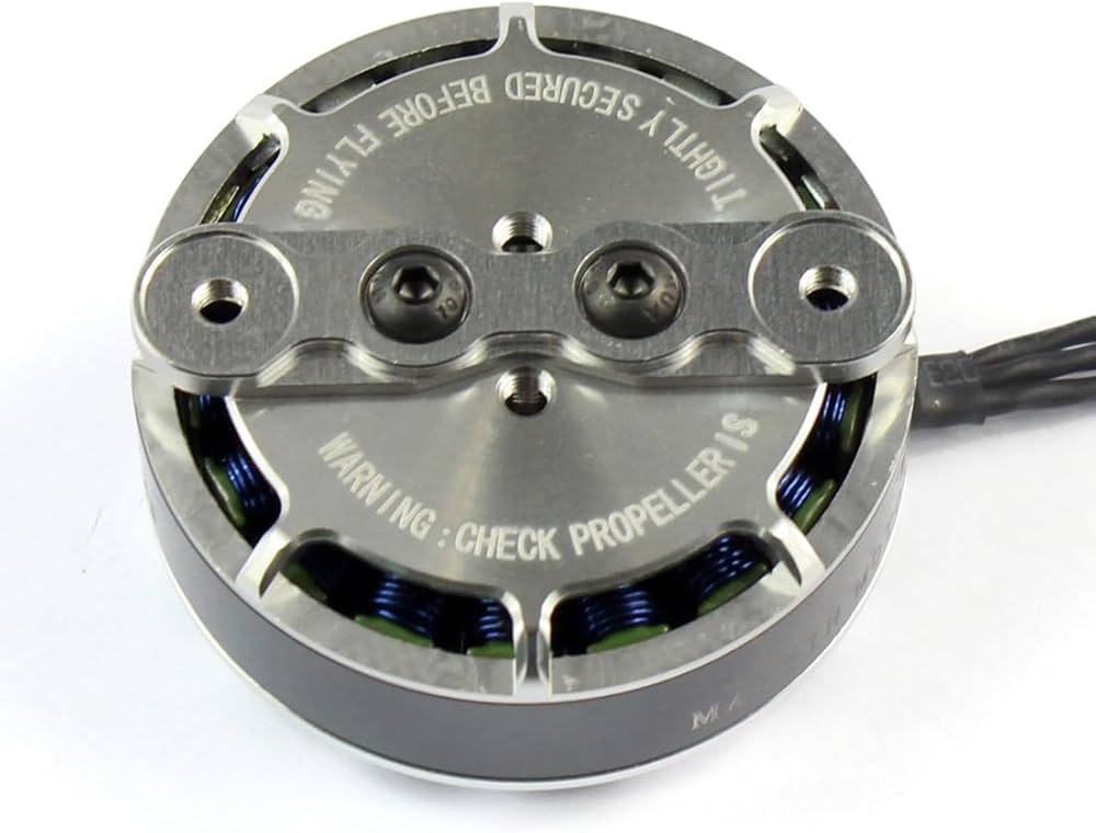 Amazon.com: TAROT TL2955 4008 330KV Martin RC Brushless Motor RC