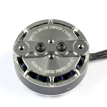 Amazon.com: TAROT TL2955 4008 330KV Martin RC Brushless