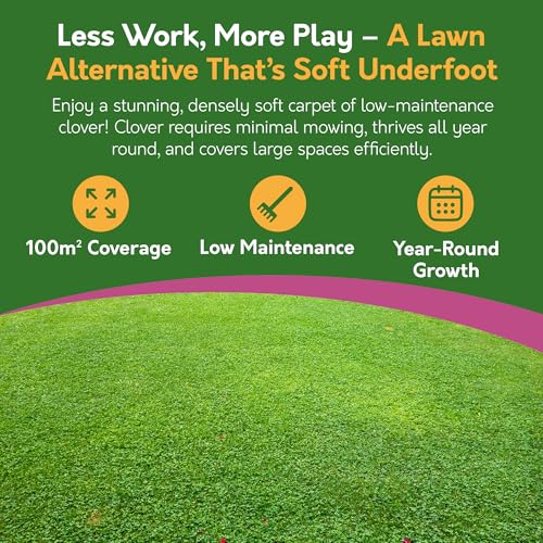 Pronto Seed White Clover Seeds 1kg - Fast Growing Winter Ground Cover & Green Manure - Low Maintenance Garden Soil Improver with Nitrogen Fixing Roots - Bird & Bee Friendly (1kg) - Image 3