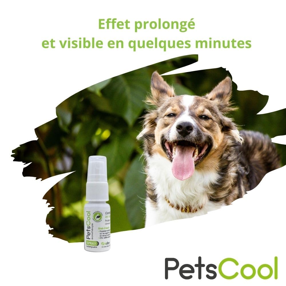 Anidev PetsCool Spray apaisant 15 ML - Anti Stress Chien Chat et NAC - Huiles essentielles valériane vétiver Sauge Basilic - Action Rapide par Inhalation - Multi espèces