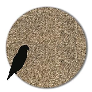 Anbobo Beige Vogelsand Keimfrei 12kg