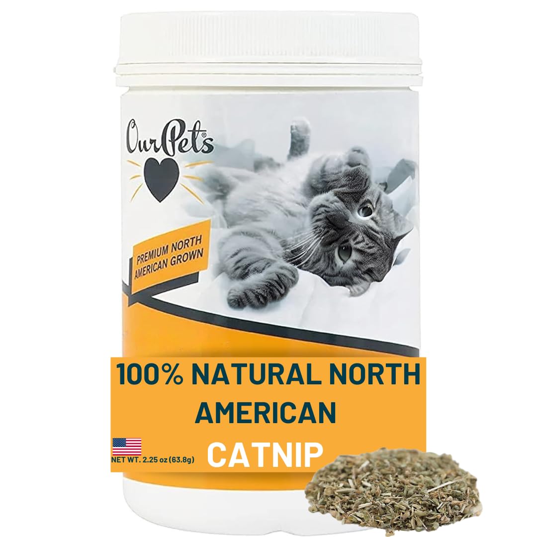 OurPet's Premium Catnip - 2.25 oz Jar of High Potency Catnip - 100% North American Grown