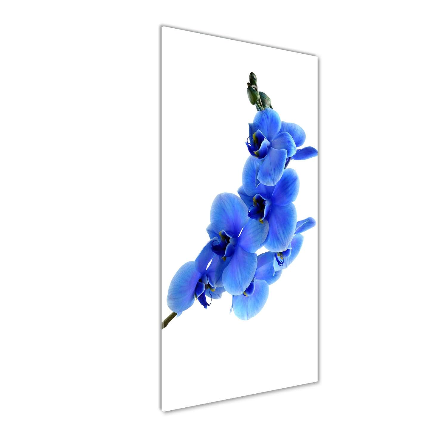Décoration murale haut de gamme en verre trempé Tulup Orchidée Bleue 125cm