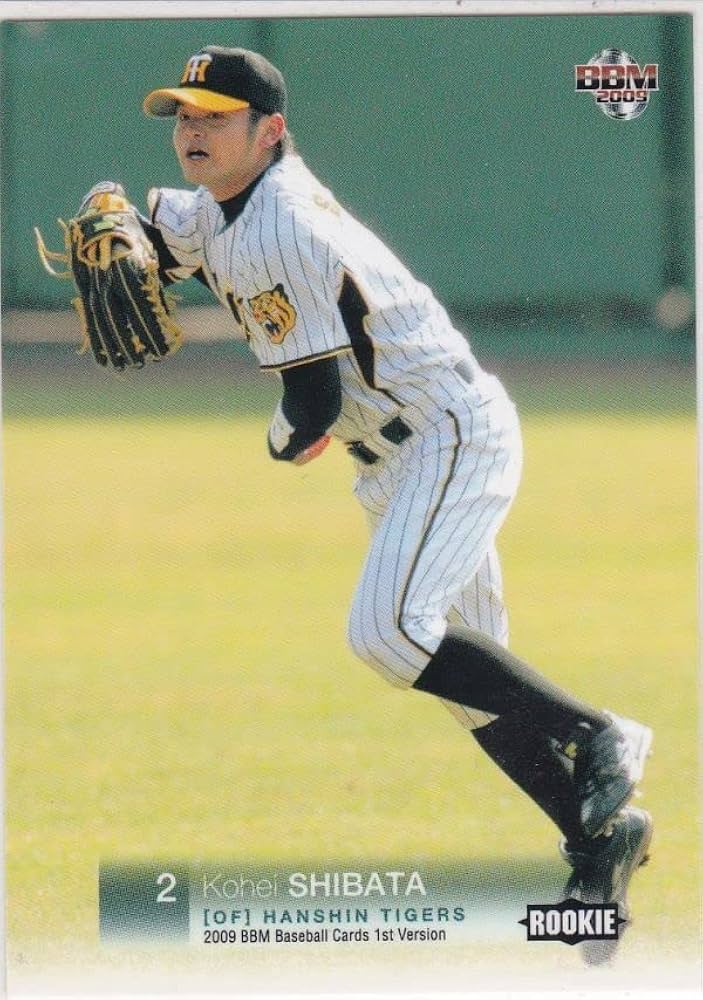 NPBバット　元阪神　柴田 講平 NPBバット 元阪神 柴田 講平 柴田講平 - Wikipedia