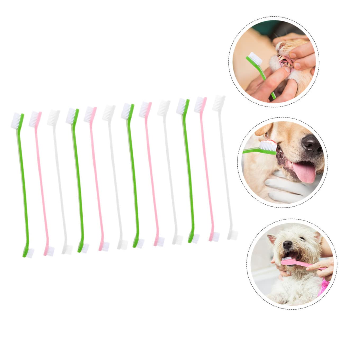 FONDOTIN Dog Toothbrush and Toothpaste 12pcs Pet Oral Care Set Dual-Head Dog Toothbrushes