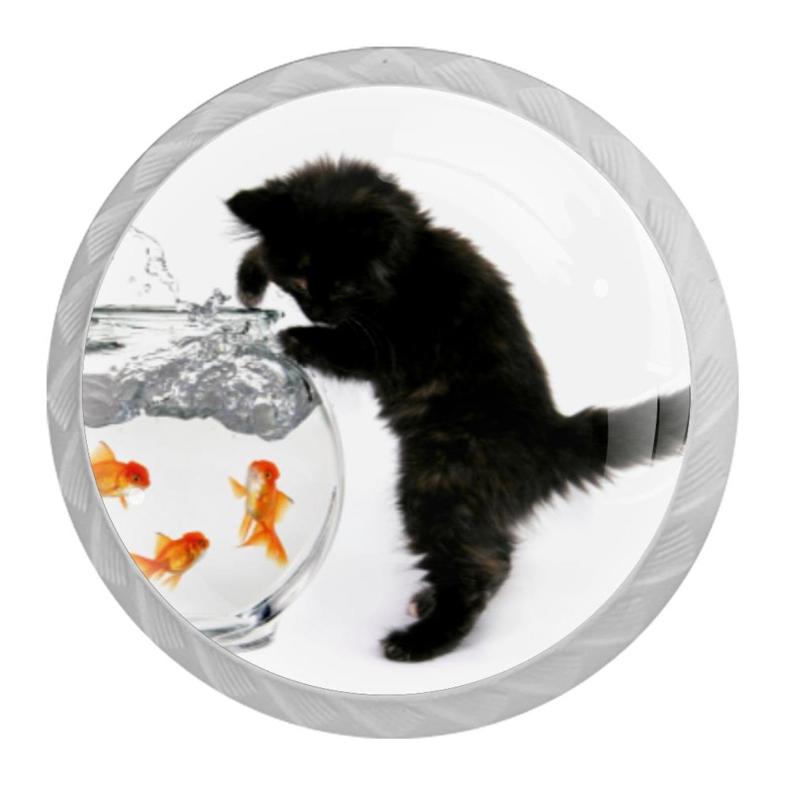 Tqmspg Multi Cat And Goldfish