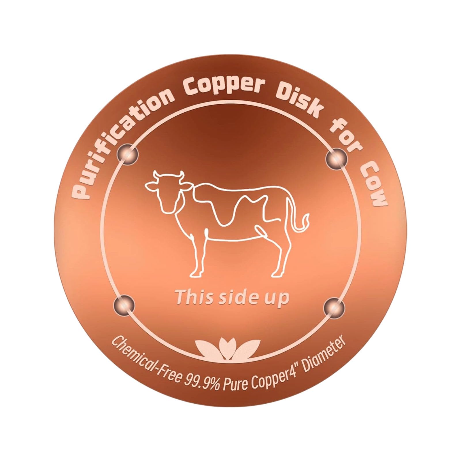 Disco de cobre para alimentador de pollo contra el agua sucia en exteriores