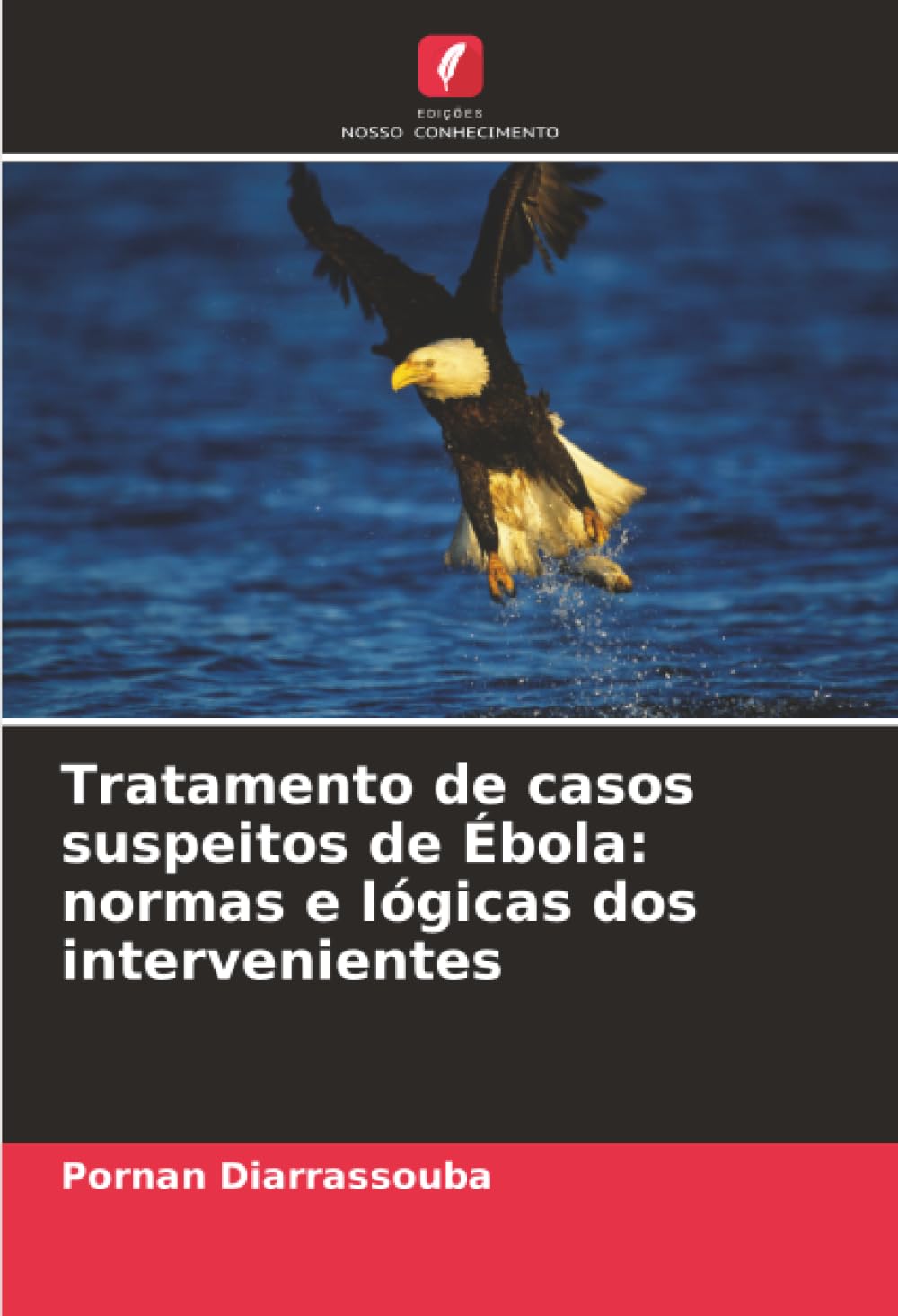 Tratamento de casos suspeitos de Ébola: normas e lógicas dos intervenientes