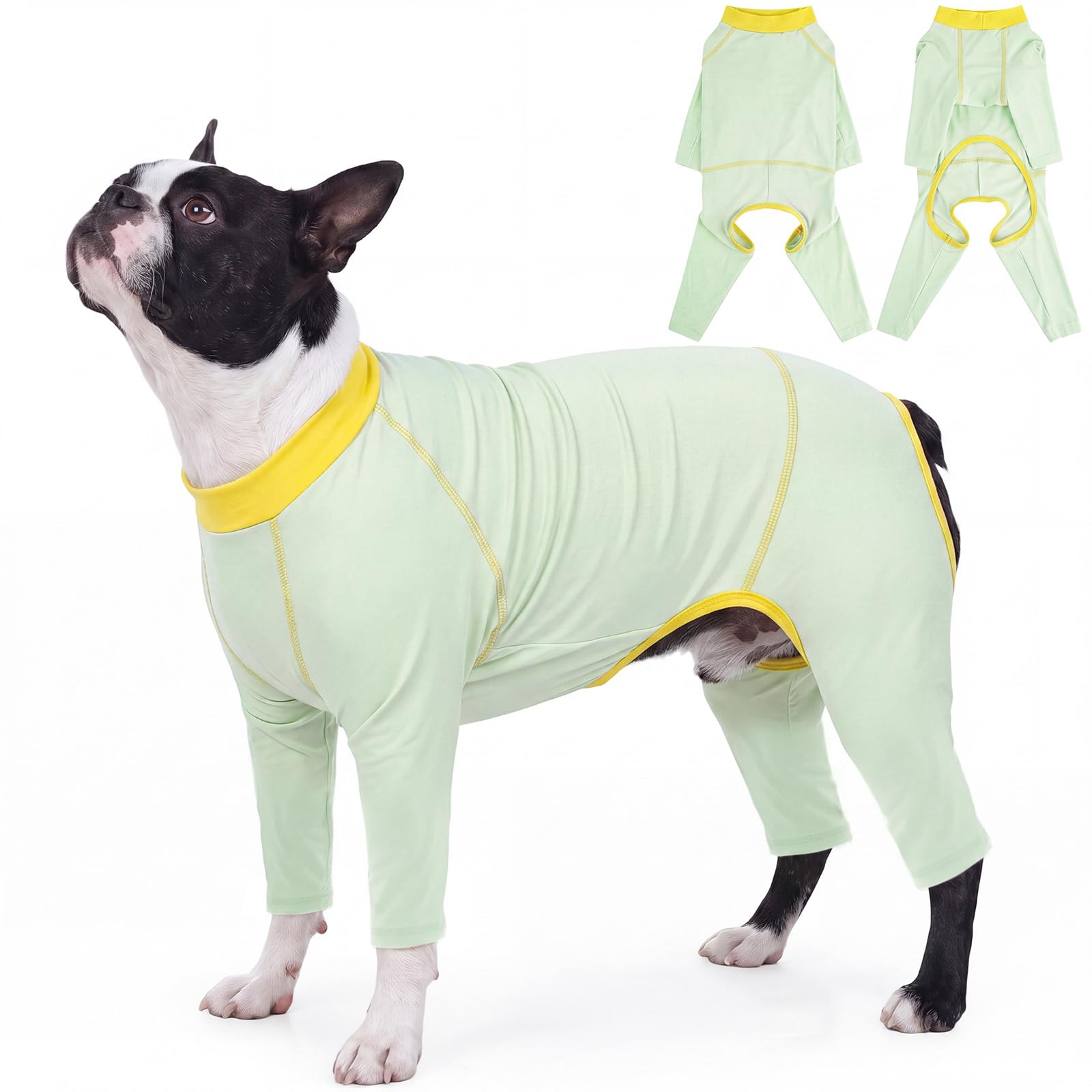 Amazon.com : FUAMEY SPF 50+ Dog Sun Protection Onesie in Hot
