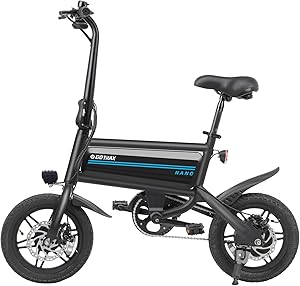 Gotrax Electric Bike