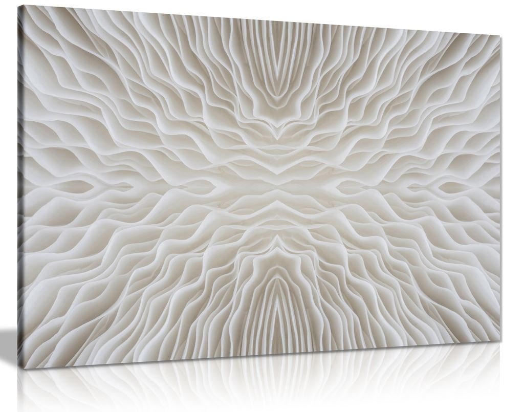 Panther Print White Abstract Art Mushroom Canvas Wall Art Picture Print (24X16)