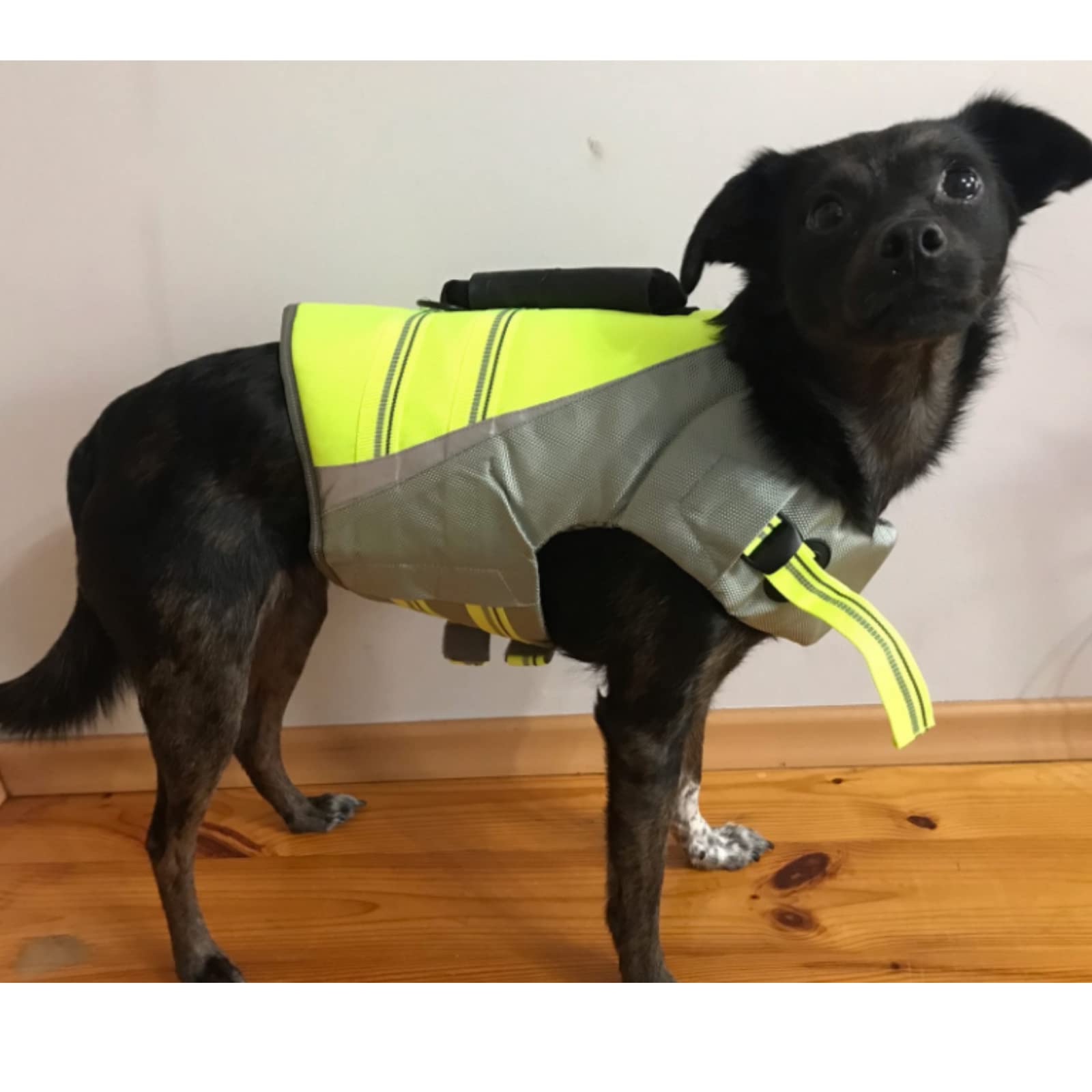 TrueLove 犬用ライフジャケット L イエロー　大型犬 TrueLove 犬用ライフジャケット L イエロー 大型犬 Amazon