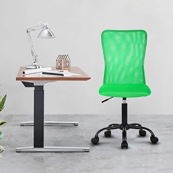 Office Chair Desk Chair Computer Chair with Lumbar Support Ergonomic Mid Back Mesh Adjustable Height Swivel Chair Armless Modern Task Executive Chair for Women Men Adult,Green
