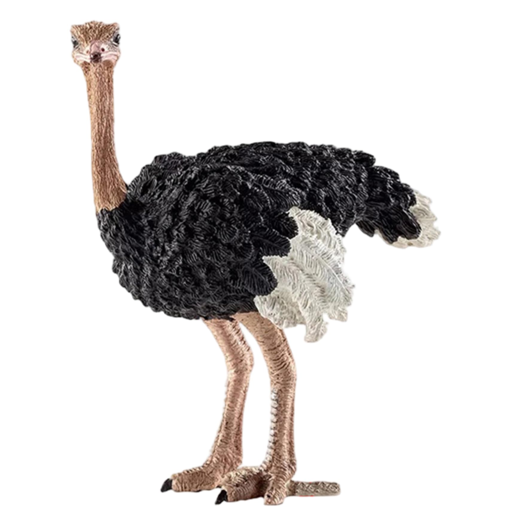 Tsawntd Animal Toys, Realistic Ostrich Animal Figures, Detailed Educational Toys for Boys, Girls Figures 3D Printed Animals