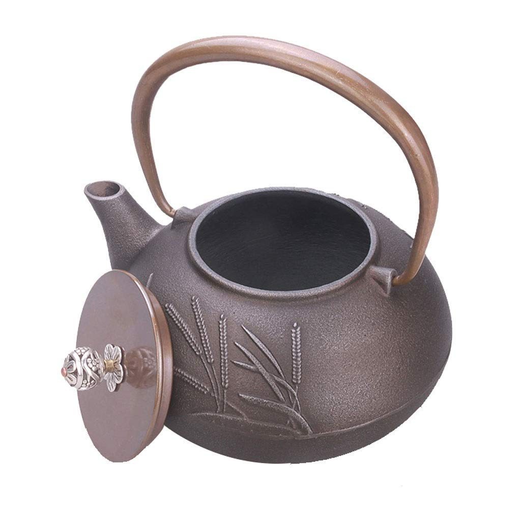 Żeliwny czajnik w stylu japońskim, ręcznie robiony zestaw do herbaty, żeliwny czajnik, wzór ważki i rośliny, duży, 1300 ml.