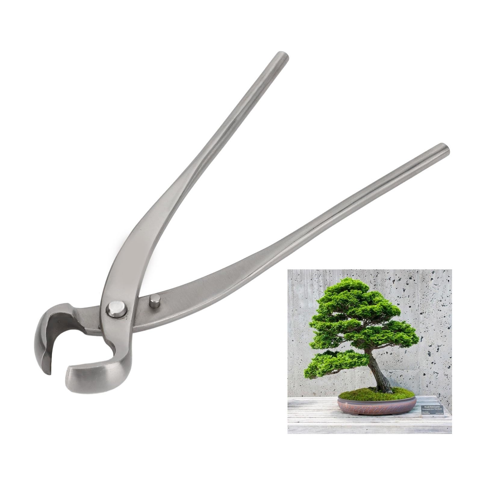 ESESE Cesoia concava Professionale for Bonsai da 11,6 Pollici, Forbici for potatura di Rami in Acciaio Inossidabile for Giardinaggio, Alberi, modellatura di Bonsai, Strumento di rifinitura