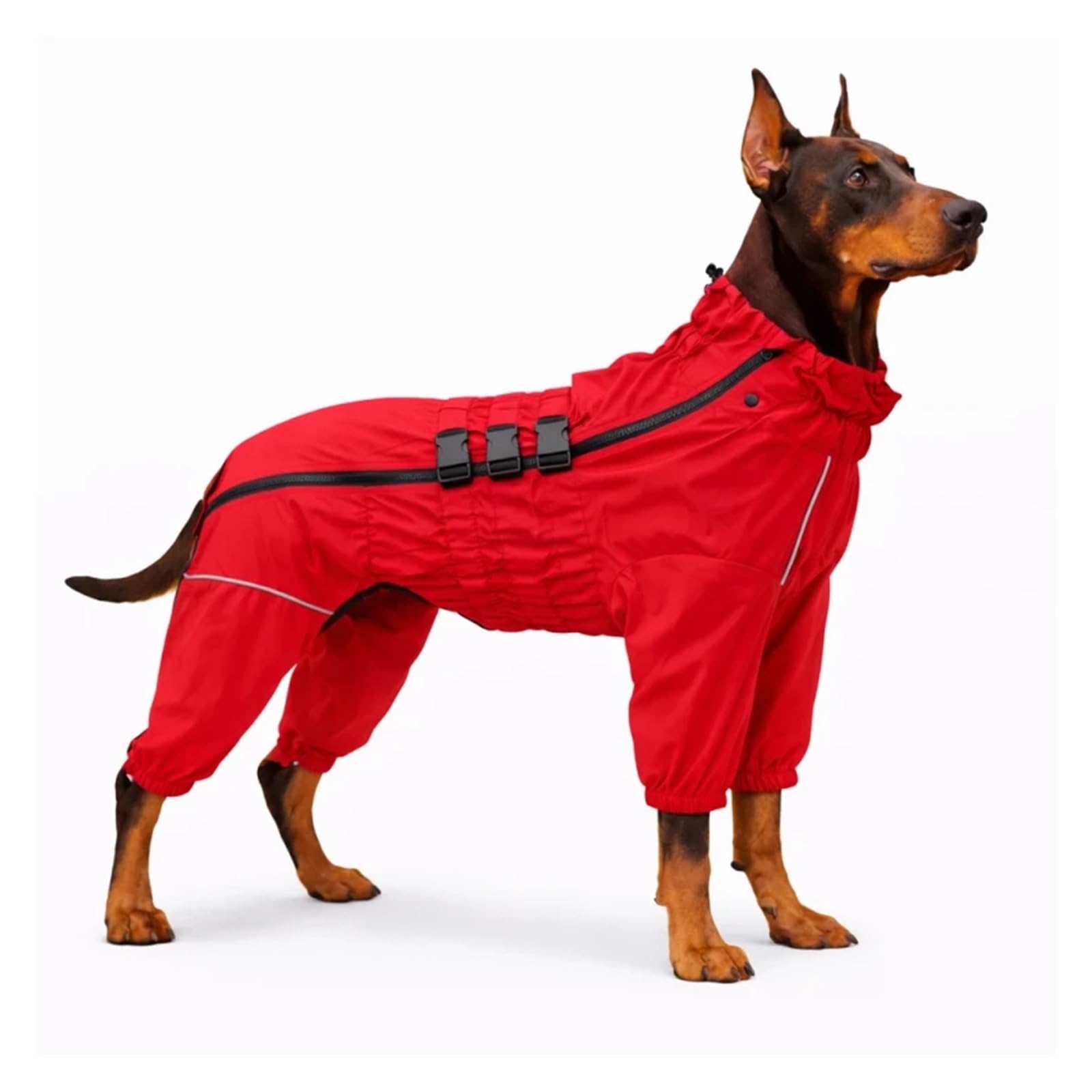 Combinaison imperméable pour grand chien pour les balades en forêt sous la pluie