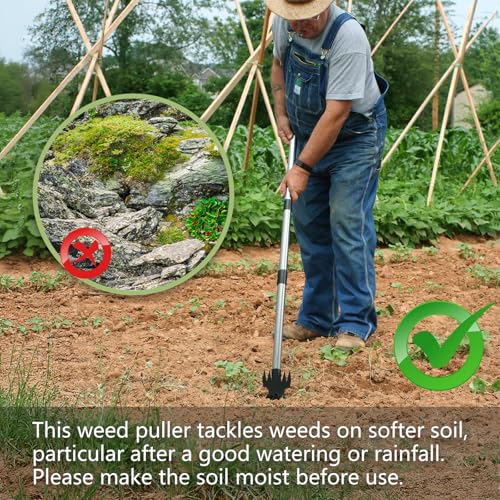 35% Off Weed Puller Tool with Long Handle - 2-in-1 Garden Tool