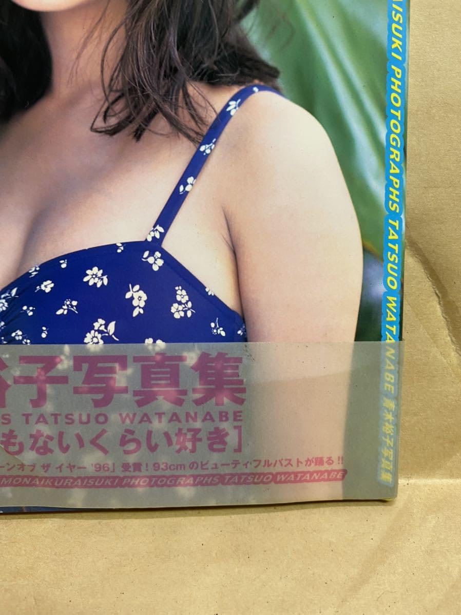 青木裕子水着ビキニ特大ポスター