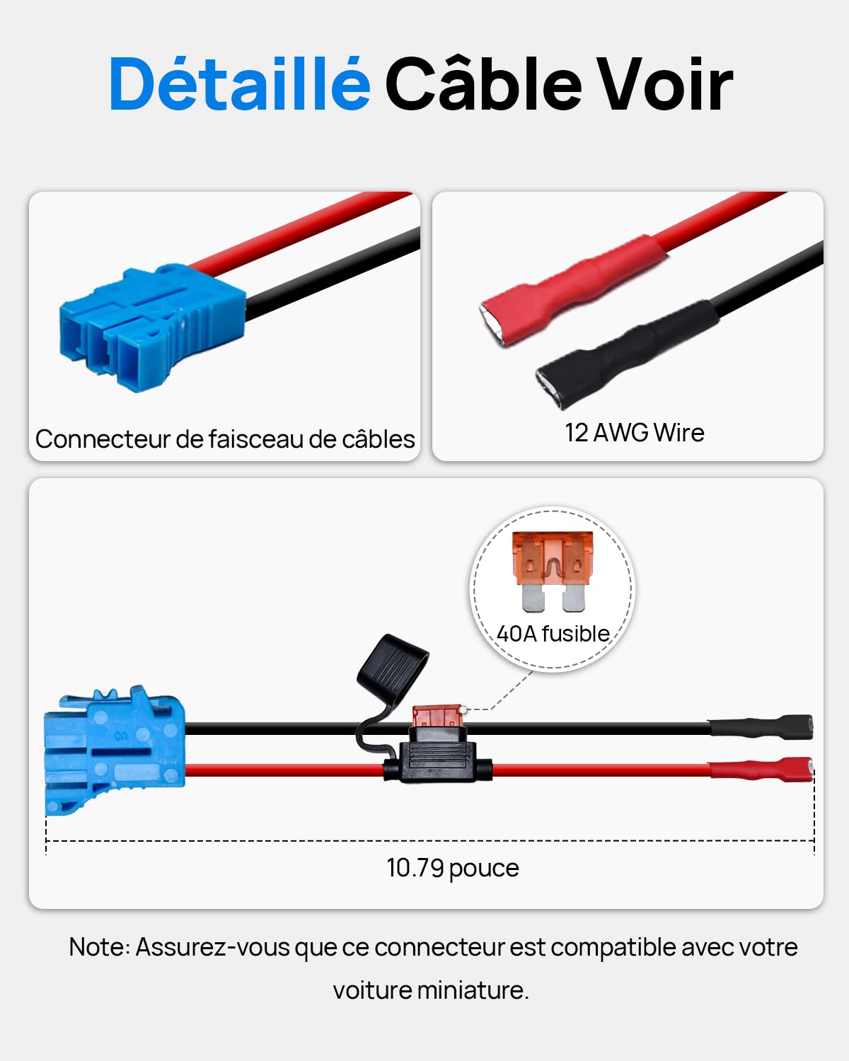 DCHOUSE Batterie au Lithium 12V 12Ah Lifepo4, Connecteur Câbles et Port CC | Batterie Lifepo4 Rechargeable de Plus de 4000 Cycles avec BMS 15A pour Bateau, Jouet à Enfourcher