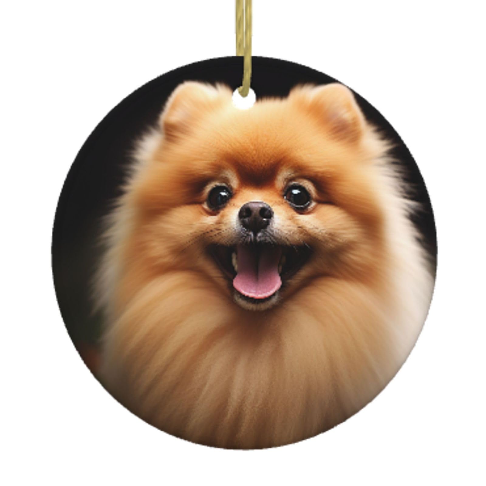 Ceramic Christmas Tree Hanging Ornaments with Gold Ropes Christmas Tree Decorations Round Ceramic Pomeranian Pendant Keepsake Decorations for Holiday Xmas Gift Ideas