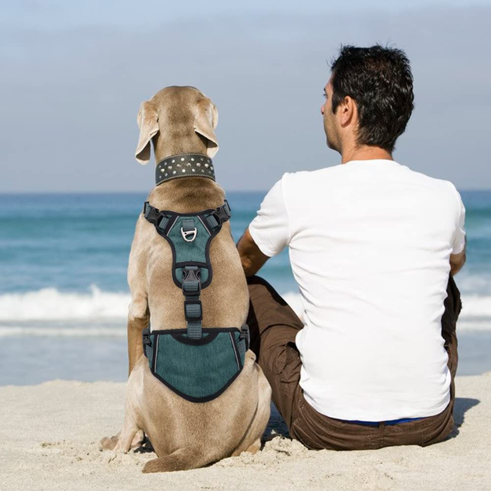 arnés para Perros, Arnés de Nylon reflexivo del Perro for los Perros medianos Grandes ningún tirón Grande for el Entrenamiento Que Camina(Orange,A)