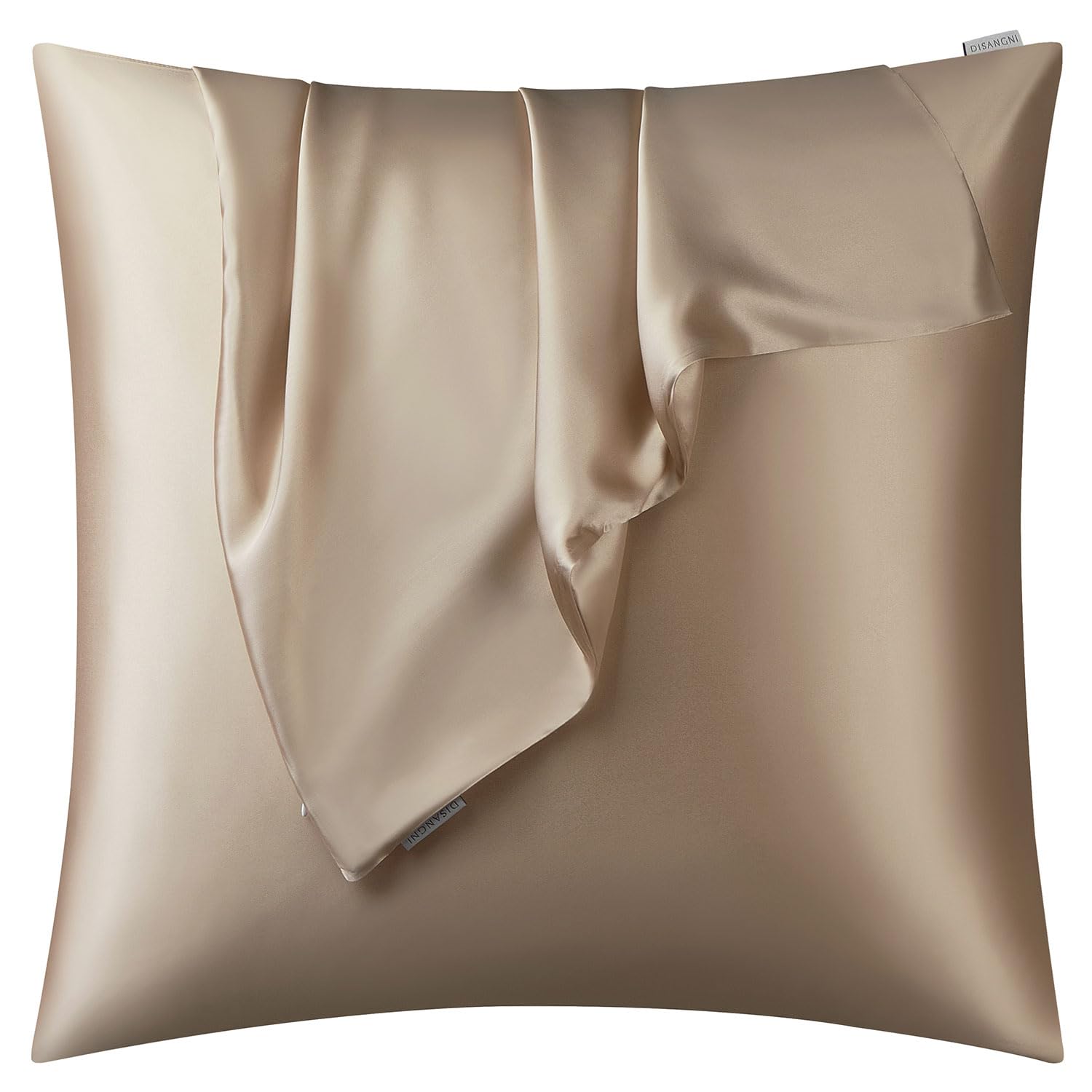 DISANGNI 100% Natural Mulberry Silk Pillow case for Hair and Skin with Hidden Zipper 22 Momme Both Sides Real Silk Pillow Case (1pc 65x65cm, Taupe)