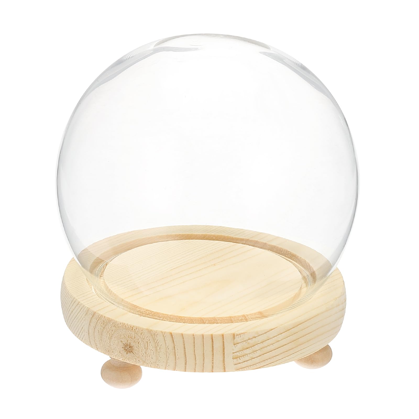 Cloche en verre avec base en bois pour spécimens de plantes et artisanat