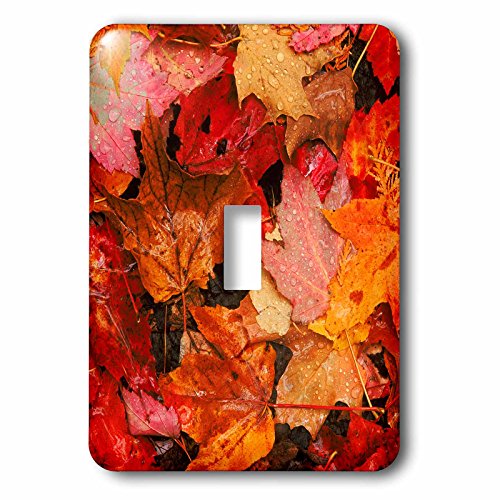 Interrupteur USA Maine Automne au design exclusif de feuille d'érable finition haute qualité