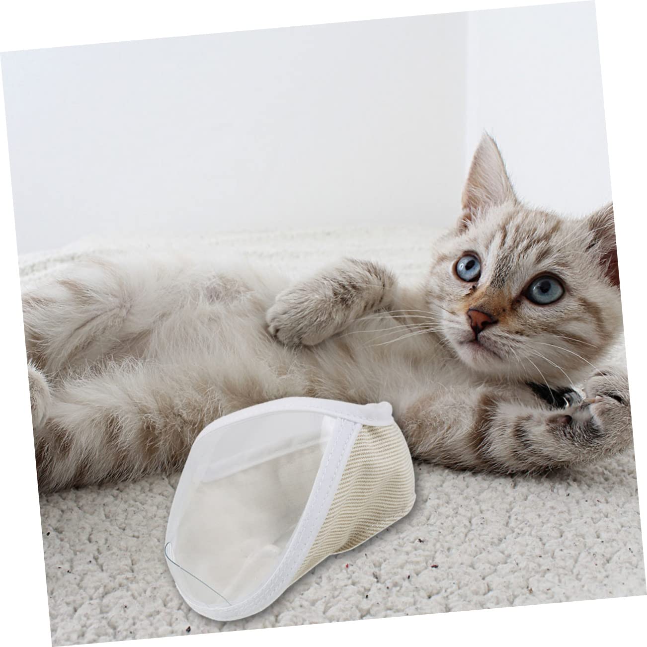 Toddmomy 6 Piezas Casco Protector para Gatos bozal de Malla de Gato Cubierta de Gato bozal portátil para Gatos bozal portátil para Gatitos cosmético Accesorios Venda Boca de Gato Novio