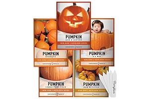 Gardeners Basics Pumpkin Seeds to Plant